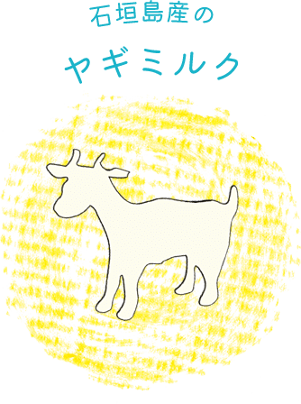 石垣産のヤギミルク